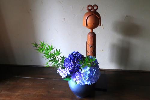 June Ikebana - Hydrengeas and Momiji. For the whole month of June our garden was bursting with color