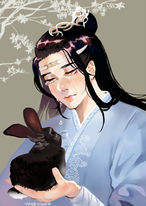 lan zhan