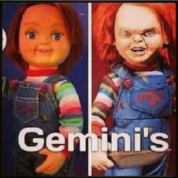 #team_gemini#twin#DFWM