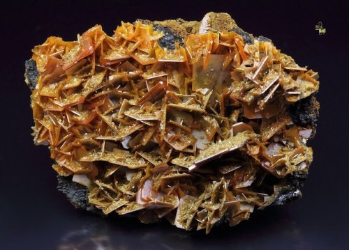 Wulfenite - Kuruktag Mountains, Xinjiang Autonomous Region, China