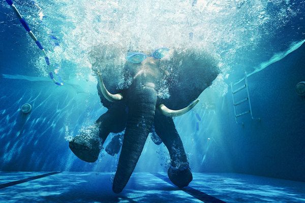 Creative Retouching ASILE