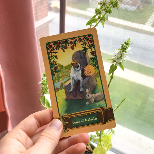 Card of the Week: The Queen of Pentacles   The Queen of Pentacles is a nurturing card, esp