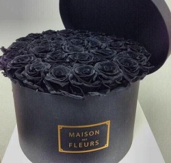 Flores Negras