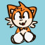 teamsonic-enthusiast