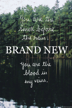 waves-underneath:  Brand New // The Boy Who