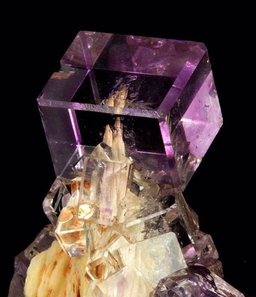 geologypage:  Fluorite | #Geology #GeologyPage #Mineral  Locality: Mina Berbes, Ribadesella, Asturias, Spain  Photo Copyright © Dan Weinrich  Geology Pagewww.geologypage.com