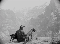 vintagecamping:Taking the dogs for a walk. Yosemite National Park, 1905