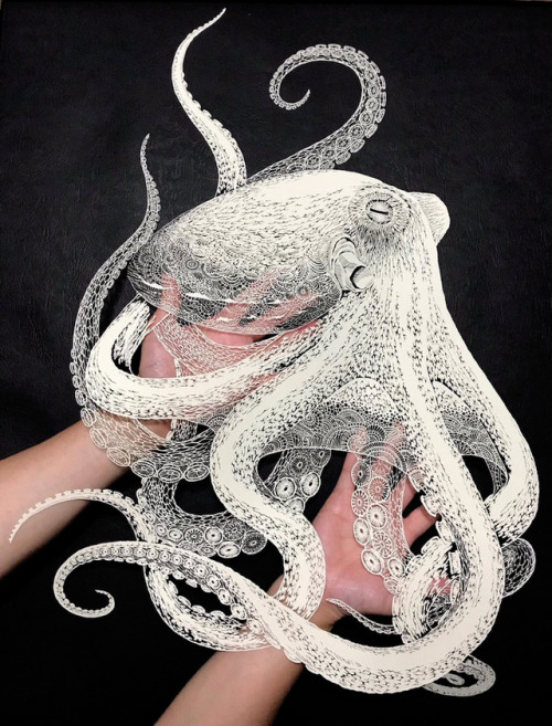 Masayo Fukuda, ‘Octopus’”Paper cutting art requires tremendous patience and a steady hand, and Japan