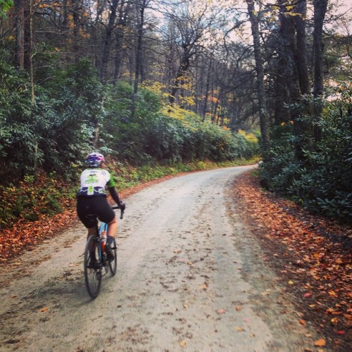 thatdamnartsycommie: Chilly ride with hunter today. It’s still pretty! #cycling