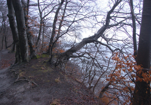 rügen