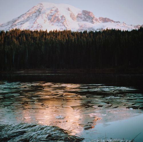 brutalgeneration:  out and about, part two (by manyfires)