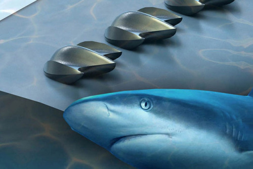 Shark Skin-Inspired Designs Improve Aerodynamic PerformanceTo build more aerodynamic machines, resea