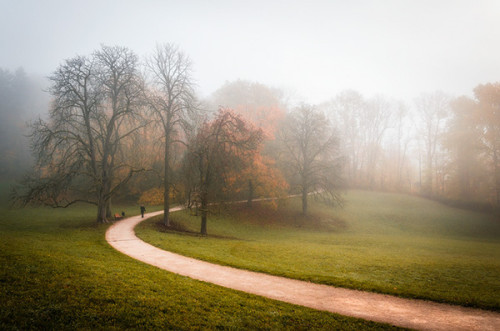 ponderation:  Misty Paths by   Heiko Gerlicher  