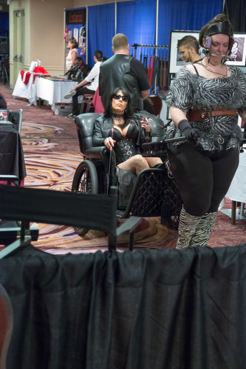 selinaminx:  LA Ponies and Critters will be selling cart rides at DomConLA to raise money for the club ..so buy a ticket and take a ride … - SelinaMinx
