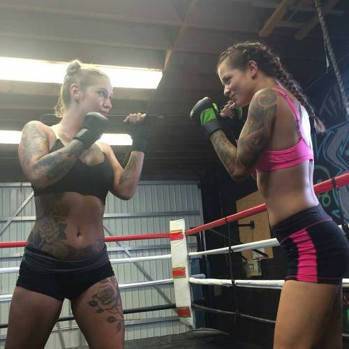 Miesha tate ronda rousey