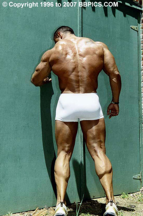 ilovebodybuilders:  Ilario Rongioletti