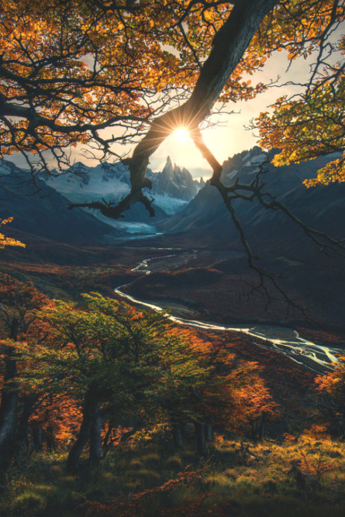 lotrscenery:Ossiriand