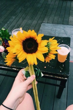 tellmemoreandstuff:  🌻