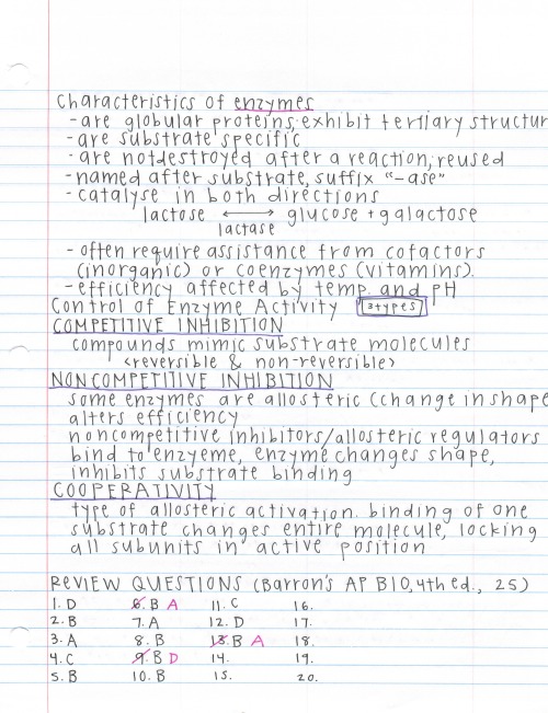 darwinsgirlfriend:  notes off the barron’s ap biology book, a more condensed form compared to my other notes. also a major throwback because i made these the summer before school even started wow i’m such a nerd. 