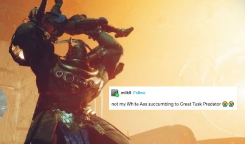 DESTINY 2 AS TUMBLR TEXT POSTS 💠💬✨