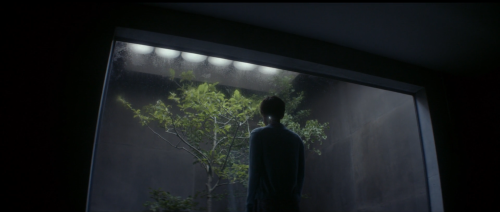 Porn brand-upon-the-brain:  Ex Machina (Alex Garland, photos