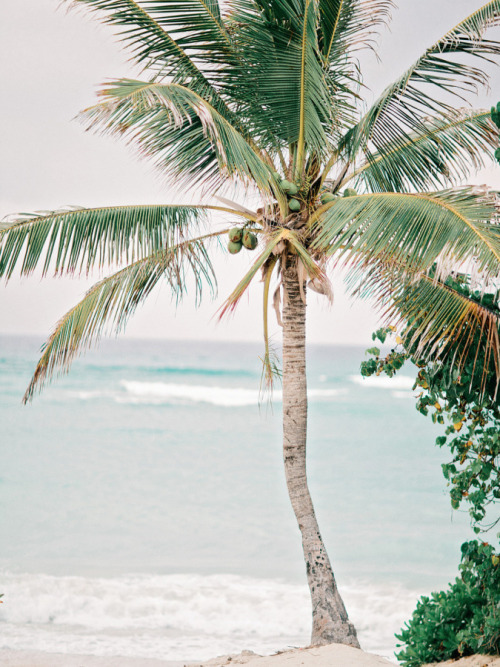 underthepalms:from style me pretty