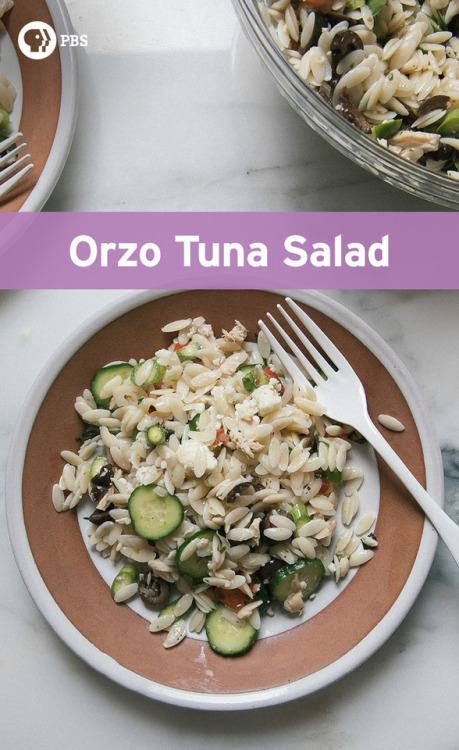 Orzo Tuna Salad from PBS Food