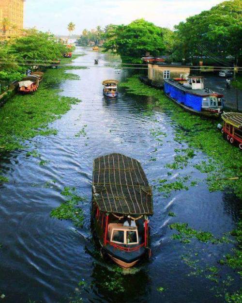 Backwater of Kerala Travel