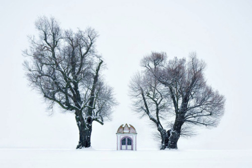 landscape-photo-graphy: Haunting Landscape Photography Inspired by the Brothers Grimm Fairytales by&
