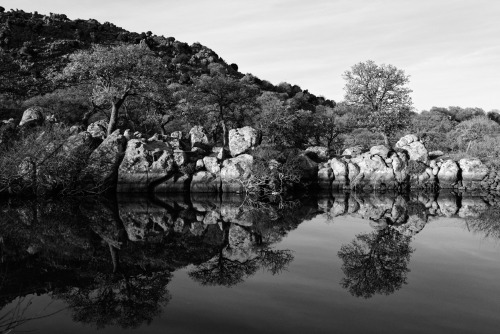 ON THE ROADSIDE08.02.2016 near skalochori, lesbos/greece. facing all this intense moments within the