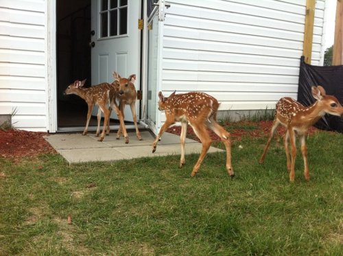 a-bbydeer: GIRLS NIGHT! GIRLS NIGHT! GIRLS NIGHT! GIRLS NIGHT! GIRLS NIGHT! GIRLS NIGHT! GIRLS NIGHT