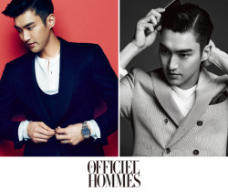 shirade:    lofficielhommes Website Update