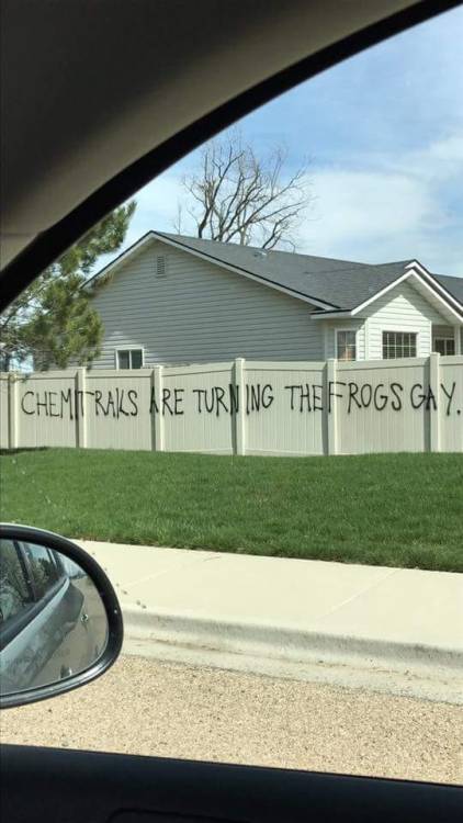 sapphicquotes:[caption: graffiti spray painted on a white fence reading “chemtrails are turning the 