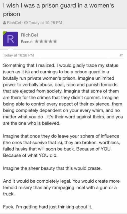 Screenshots from some incel (“involuntary celibate”) board.People online tend to infantilize misogyn