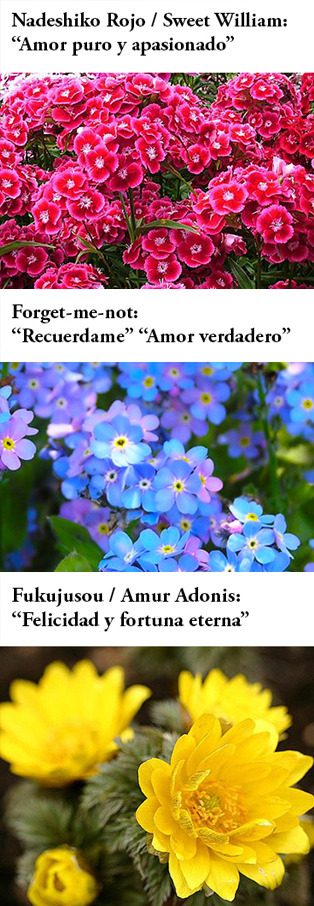 Call Me Messo Ailucad The Meaning Of The Flowers That Call Me Messo Ailucad The Meaning Of The Flowers That