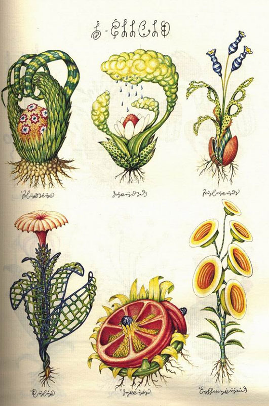 ponytailjournalbreakfast:
“ (THIS IS NOT MY PICTURE) but them flowers be cray.
”
Behold a page of the Codex Seraphinianus, a nonsensical encyclopedia for a fictional world produced in the late ‘70s by eccentric Italian designer and architect Luigi...