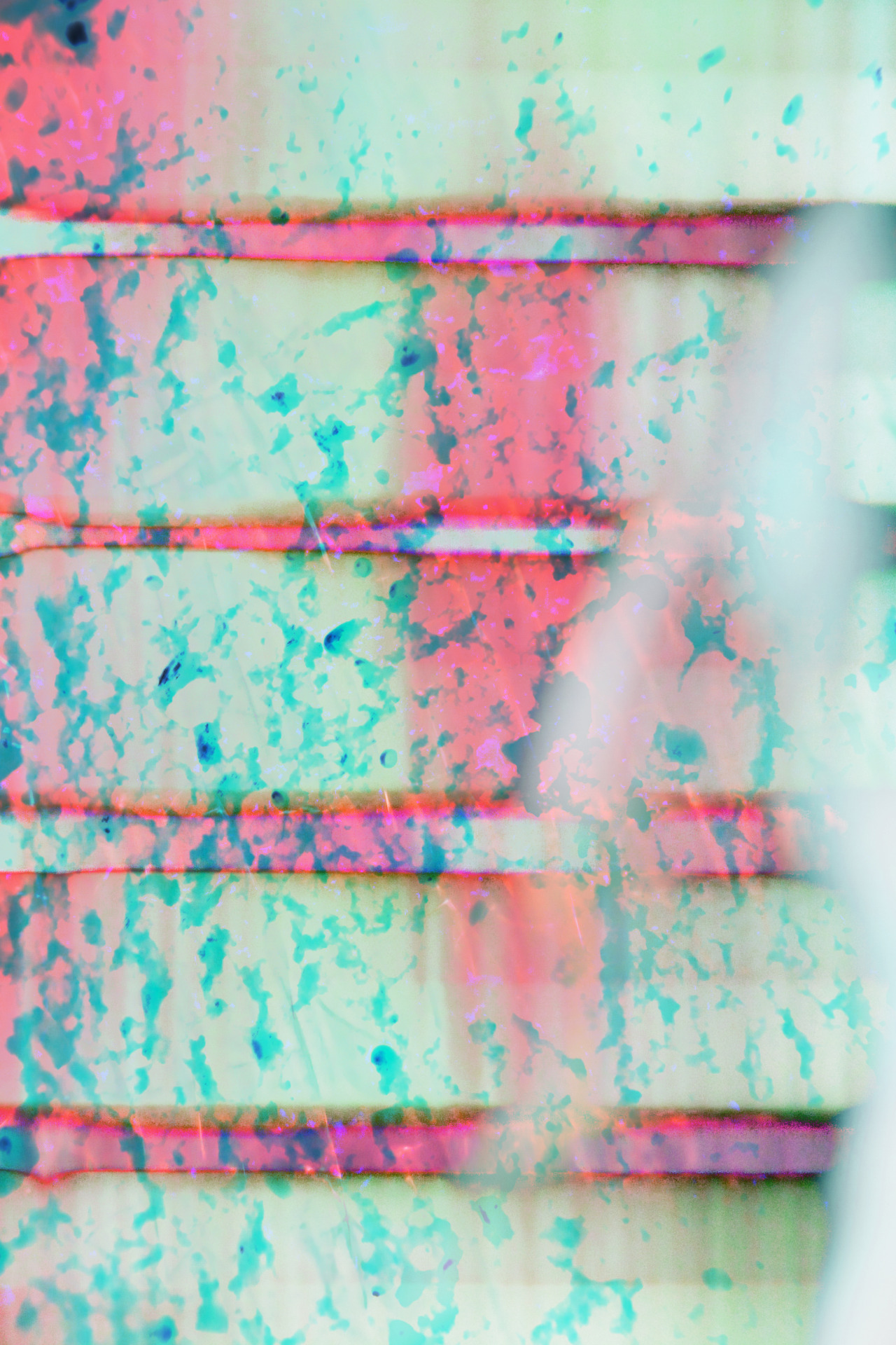 areaofinterest:  Michael Chase 