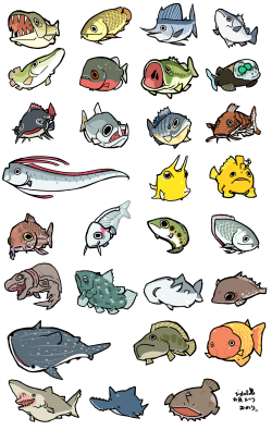 aboard-the-nautilus:  exploresque: お魚（リク終了）  These are so cute!!!