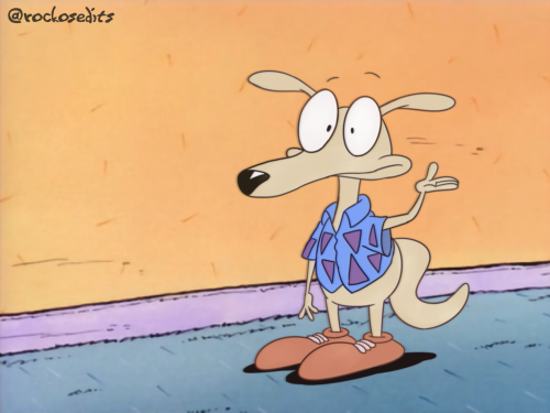 Rocko variants