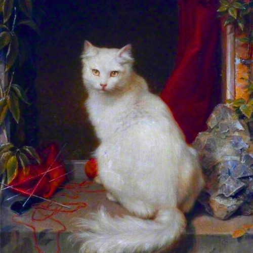 Cats + Art