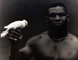 chiillone:  Mike Tyson By Michel Comte