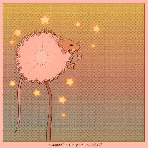 coldwind-shiningstars: passionpeachy: harvest mouse [ID: A drawing and a photo of the same thing. A 