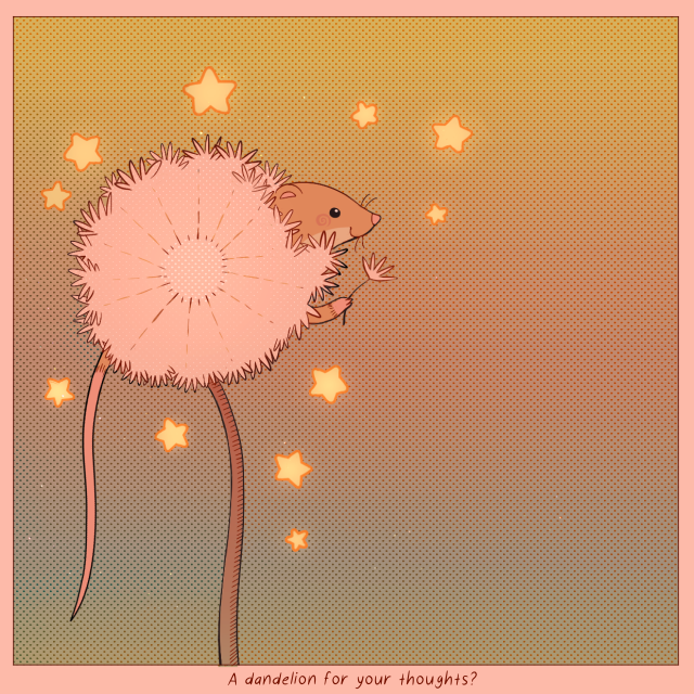 harvest mouse 🌾