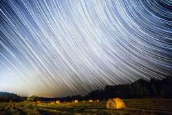 Matt-Molloy: “Midnight Snackers” A Small Herd Of Deer Passed By, Slowly Grazing