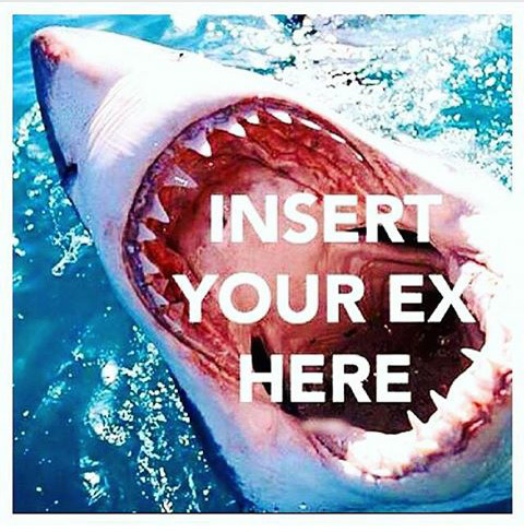 Lol!  I&rsquo;m actually still friends with most exes. Not sure any are sharkbait&hellip;.well,
