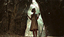 spankjonze:  My mother told me to be wary of fauns. Pan’s Labyrinth | 2006 | dir. Guillermo del Toro 