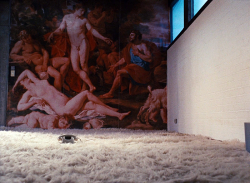 sexualhumanbeing:  The Bitter Tears of Petra von Kant (Rainer Werner Fassbinder, 1972)   