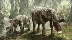 thegreenwolf:  justasimpleviolin:  sadlux:  astronomy-to-zoology:  Genus: Platybelodon …an extinct genus of mammals related to elephants that lived in Miocene Africa, Europe, Asia and North America. Like other gomphotheres Platybelodon sported two