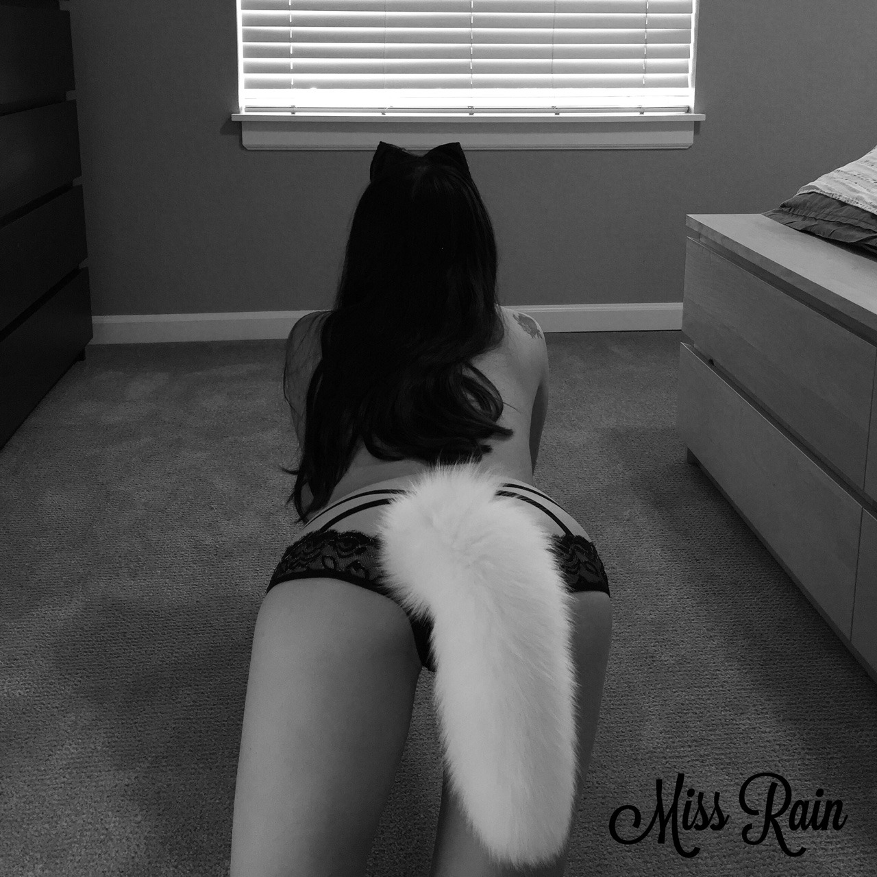 littlepetscorner:  Fox on all fours. Maybe I need white ears to match?  Maybe but