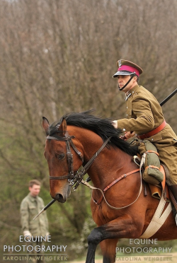 mountedhistory: Dni Ułana 2015 // Karolina Wengerek